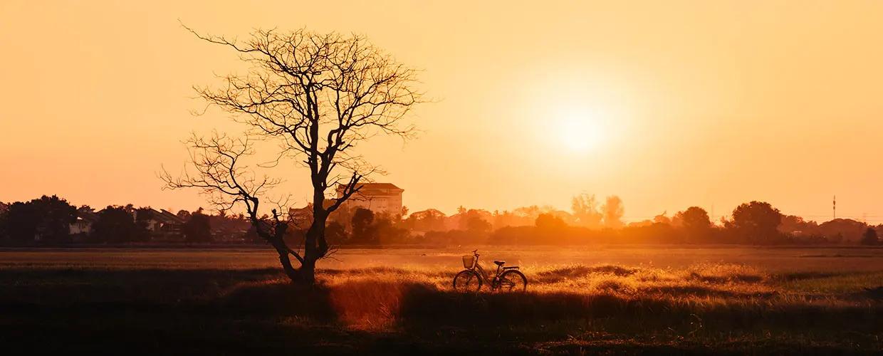 un couché de soleil dans un champs