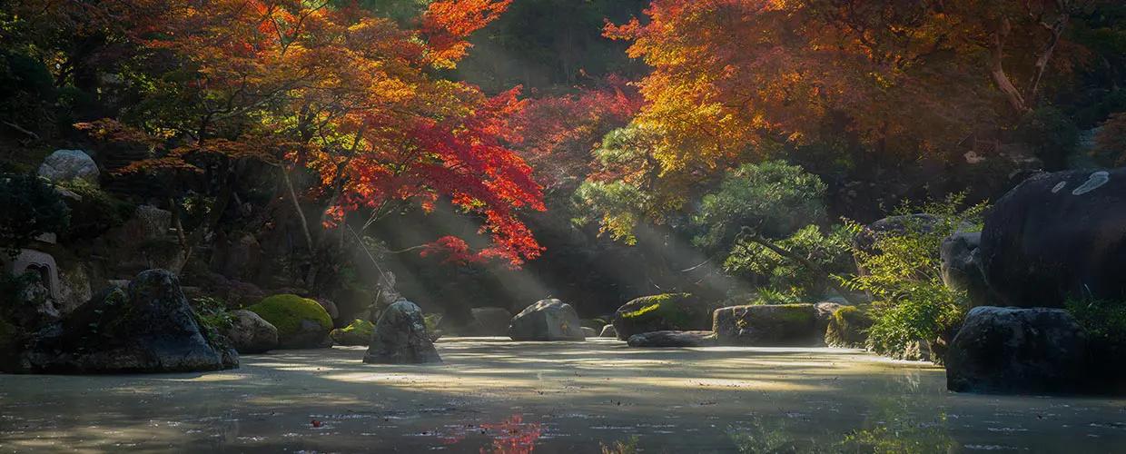 une rivière en automne